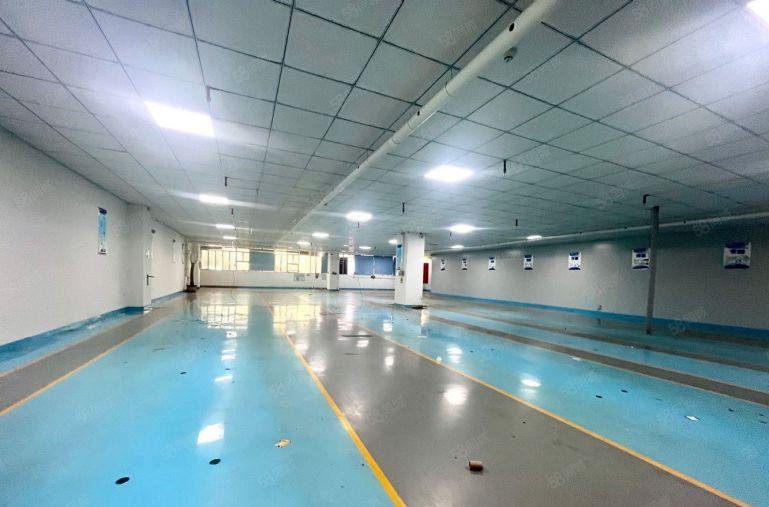 龙华大浪工业园厂房仓库出租2000平电商电子食品注塑可分租