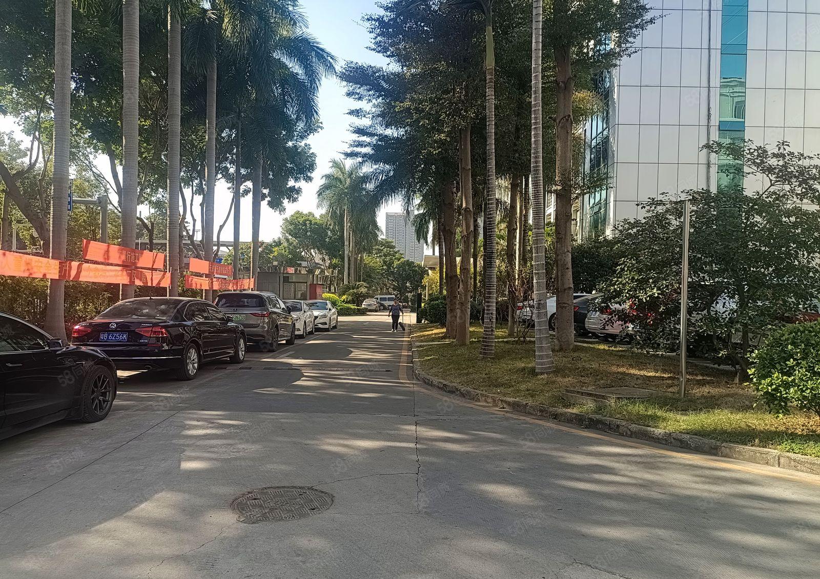 龙华油松花园式厂房整层3000平，200平起分租空地大好停车