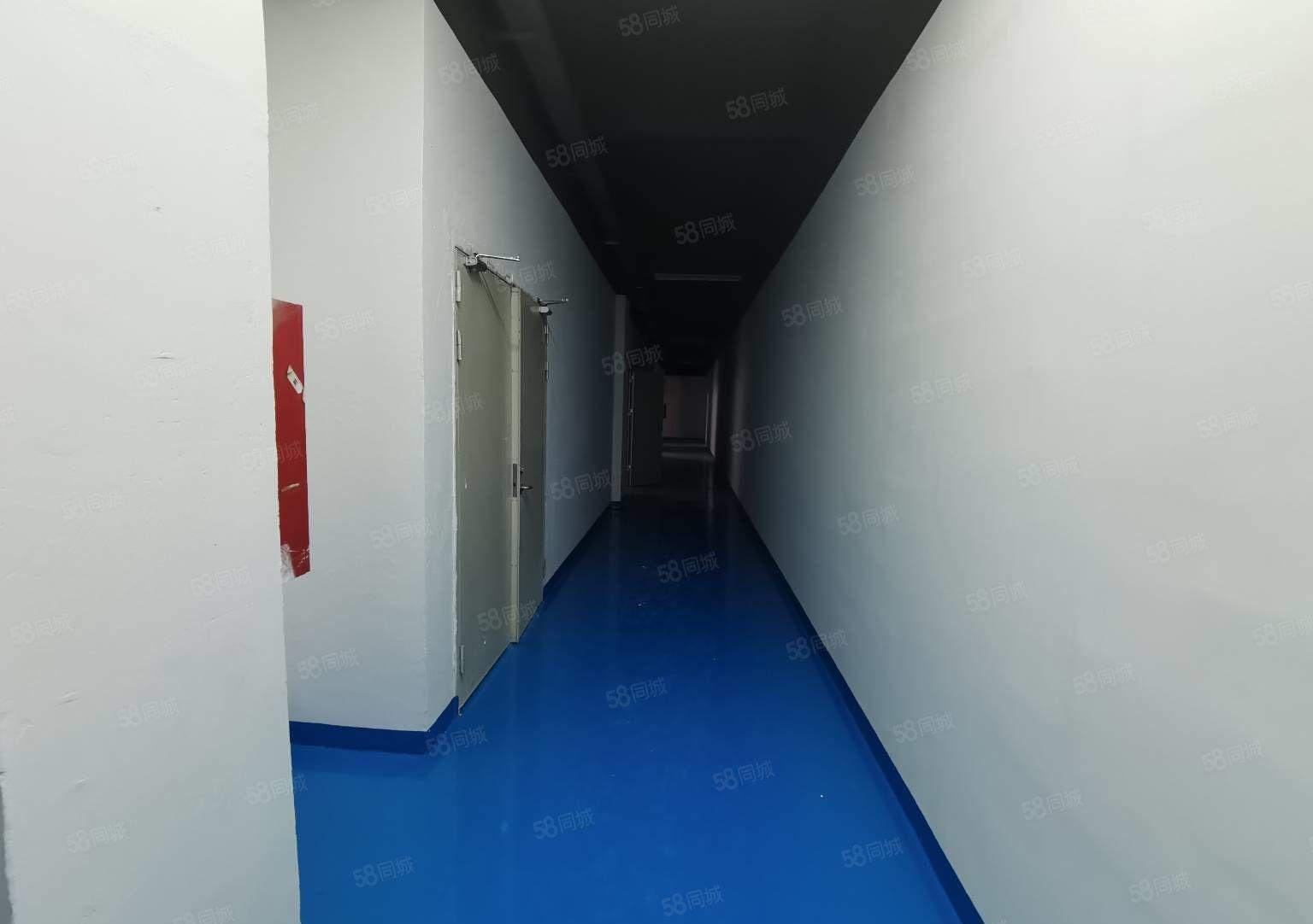 200起分小面积观澜茜坑原房东厂房出租一楼仓库出租可转租加工