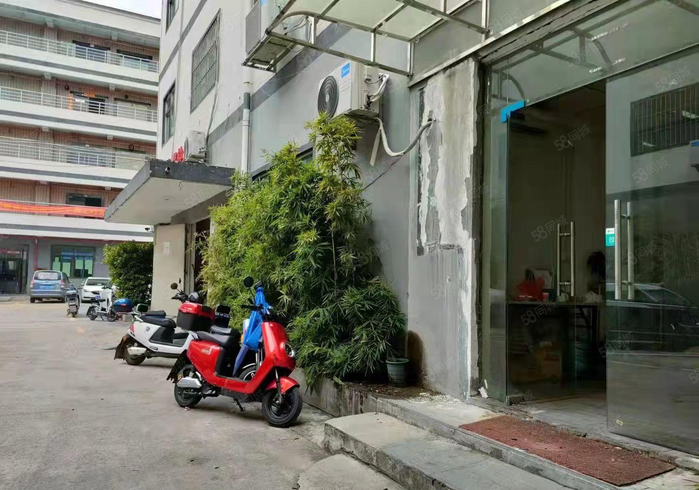 龙华天虹商场附近一楼300平带办公室厂房出租