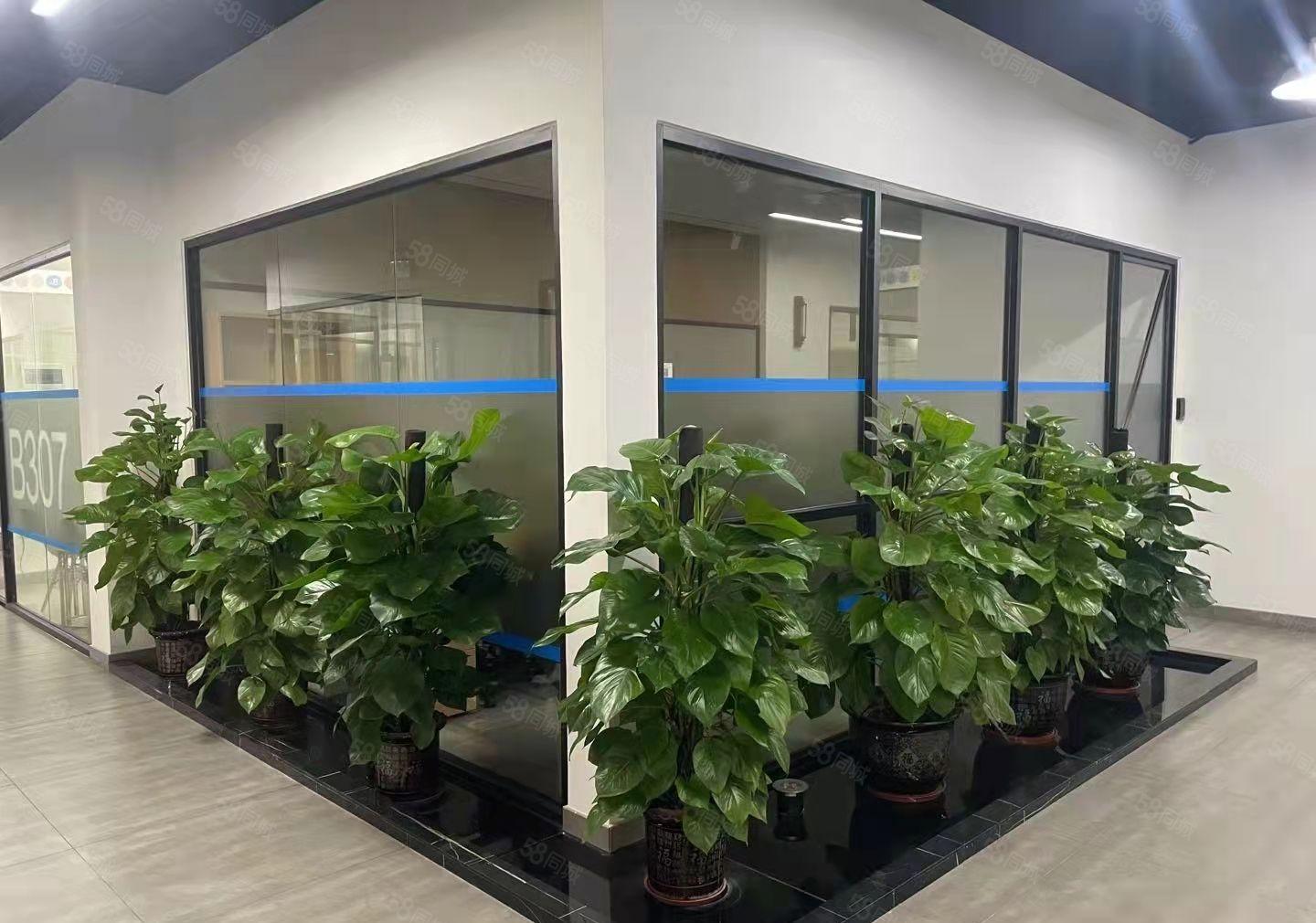 清湖地铁A出口站有精装办公室233.31平招租，可享企业补贴