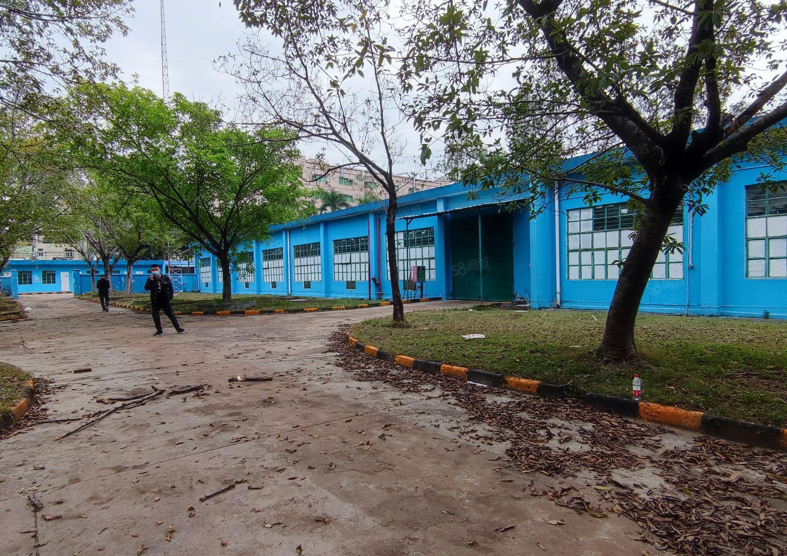 观澜竹村地铁标准一楼厂房共8000平方出租 300平米起租