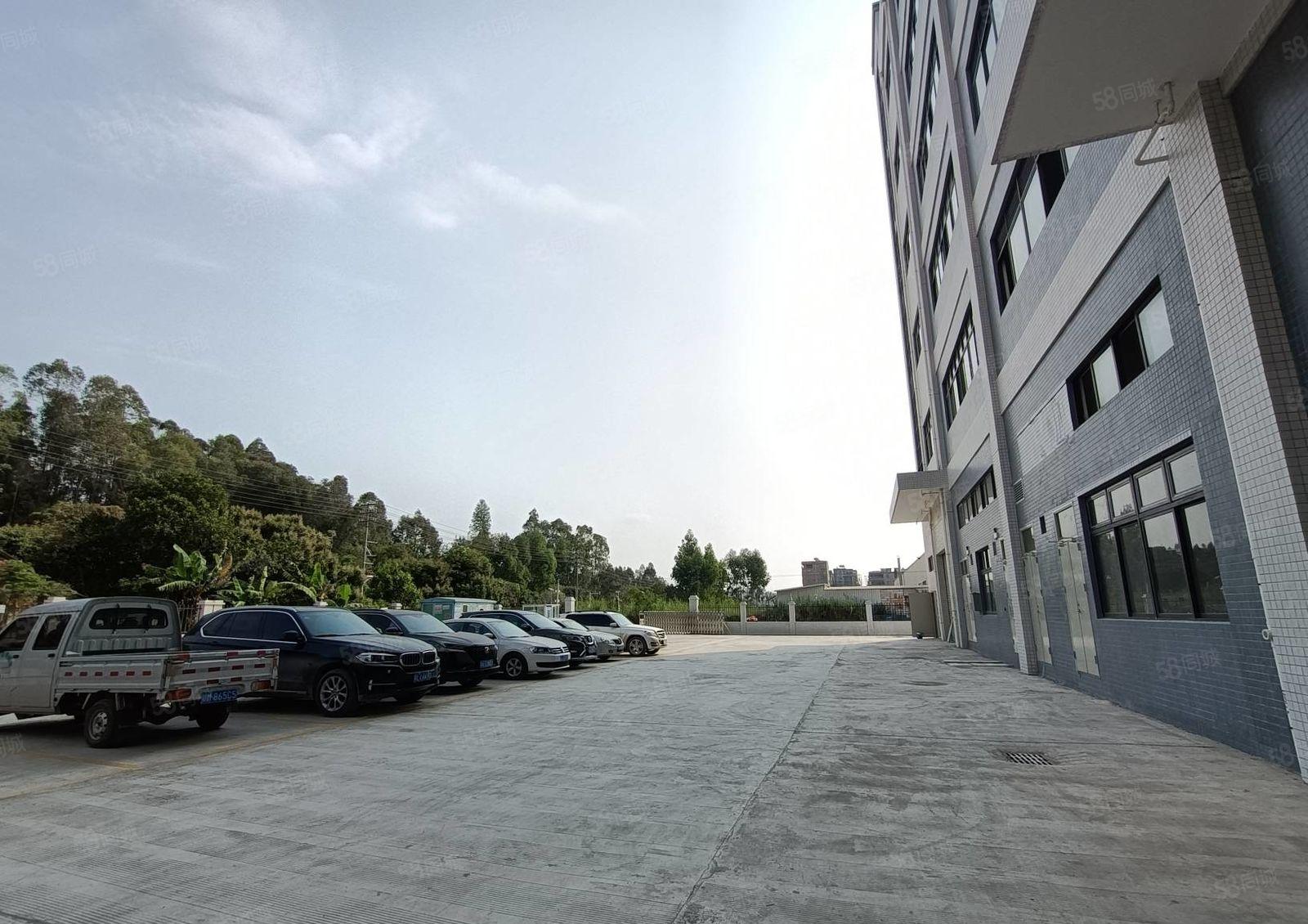 低至19元，观澜大富原房东红本厂房6000平出租500平起租