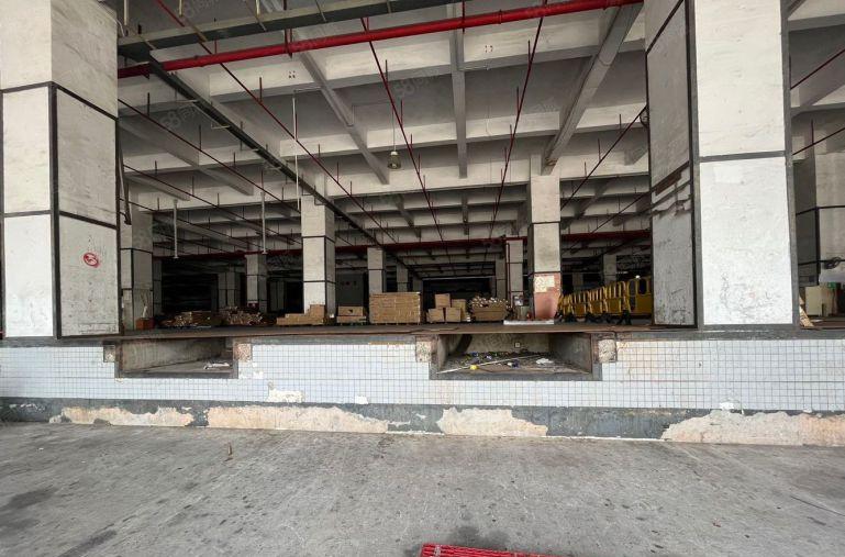 龙华元芬大型物流园高台物流仓2000平丙二类消防可分租