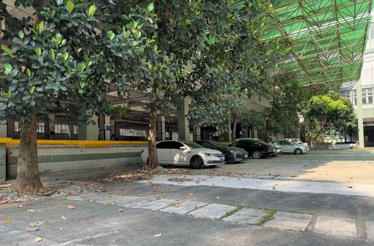 观澜原房东独院厂房出租带卸货平台电商仓库出租可分租空地大