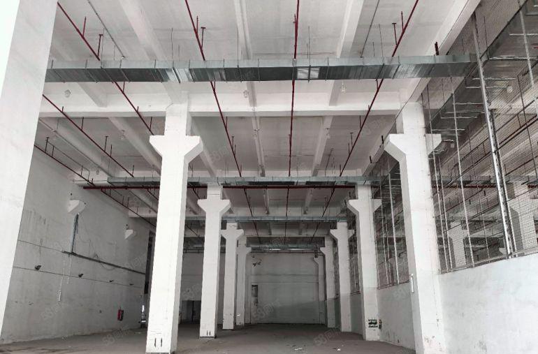 出租龙华新出一楼11米层高标准厂房，带卸货平台，适各种行业
