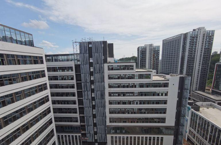 龙岗地铁口高标厂房 可做生物医药研发 2400平起开发商直租