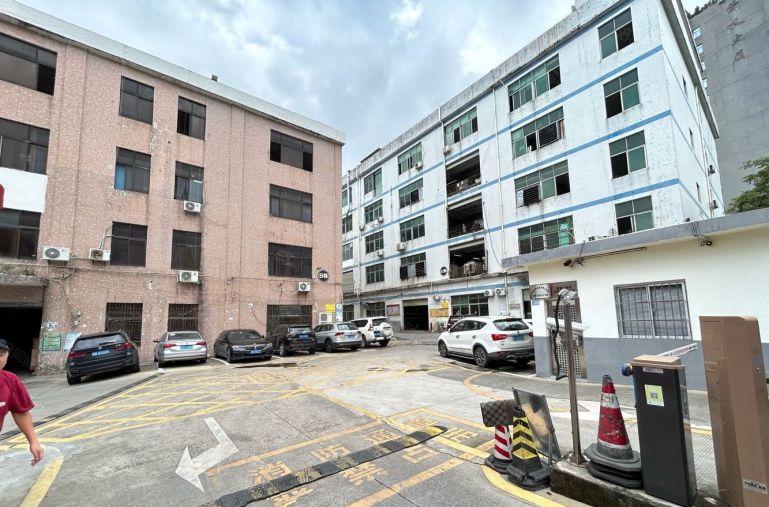 水围新村原房东450平实用面积，打包价1.6万，适合生产加工