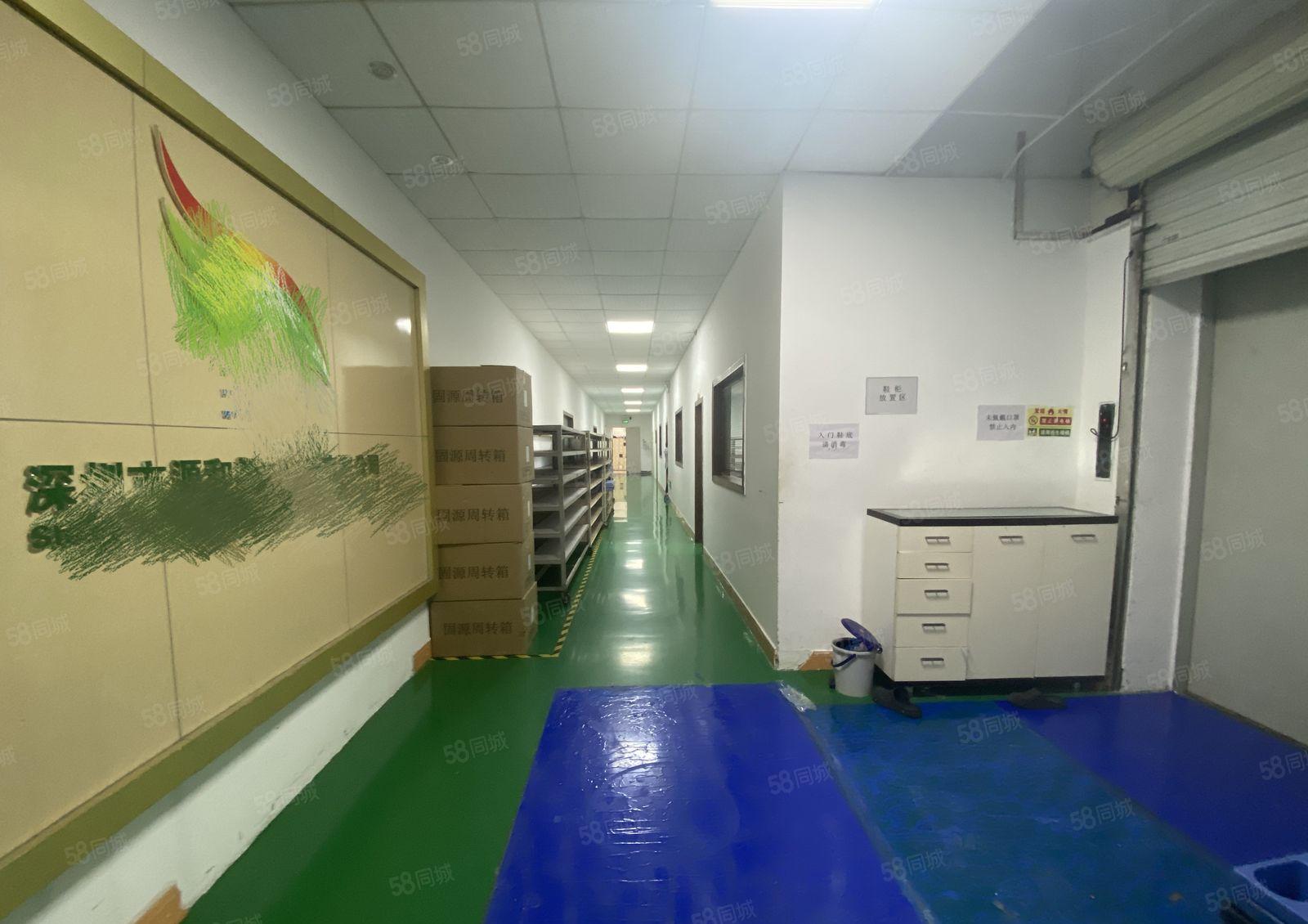 龙华观澜原房东楼上1650平精装修整层无尘车间园区厂房出租