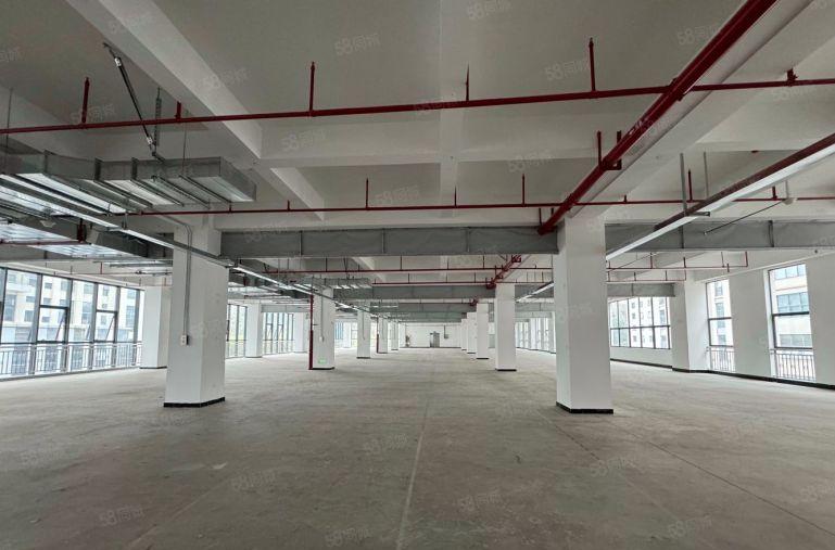 企业补贴！200平起分龙华大浪商业中心红本原房东直租厂房出租