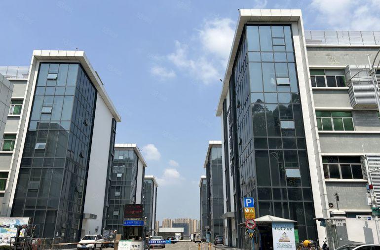 电商办公直播 龙华油松精装85至500平办公室厂房出租