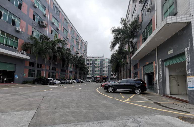 大浪红本厂房500平精装修带办公低价出租