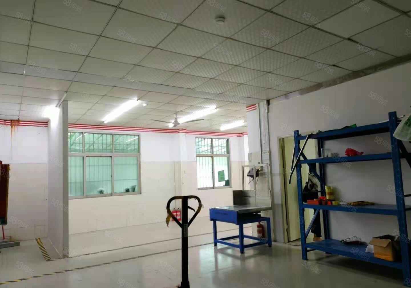 龙华大浪一楼小面积150平仓库厂房出租