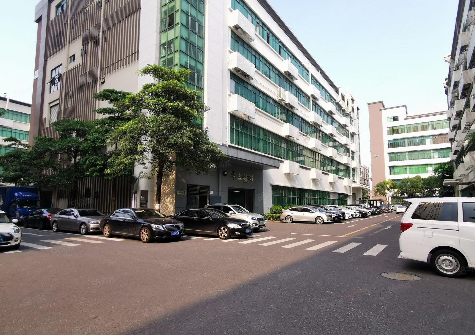 龙华大浪原房东2000平高新科技园直租带装修厂房可申请补贴