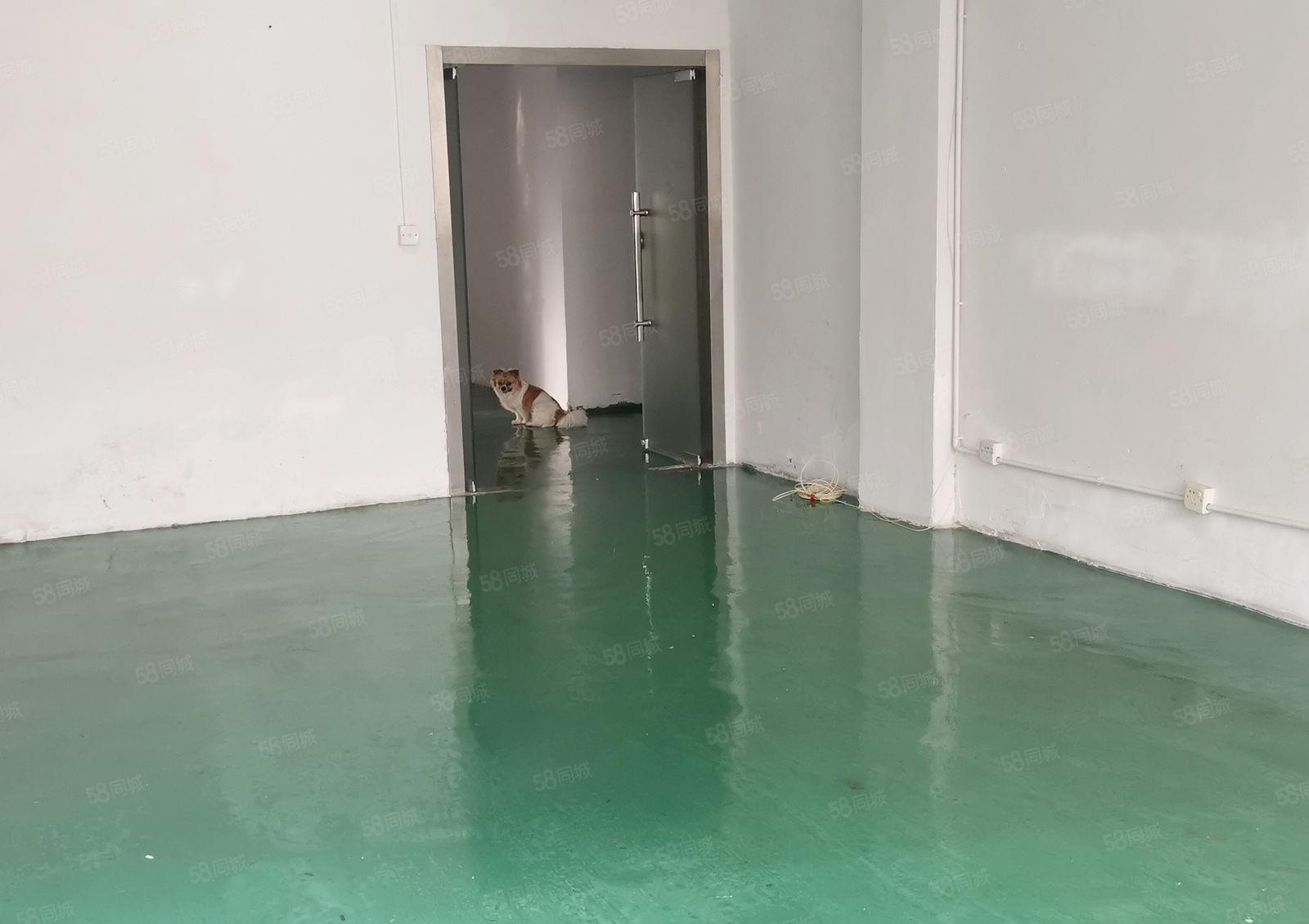 龙华观澜梅观高速出口小面积80平厂房办公室仓库招租