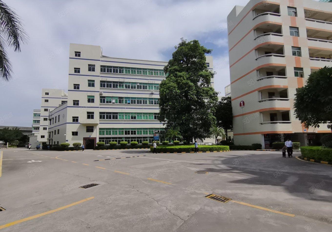 观澜樟坑径工业区原房东红本5000平红本精装厂房仓库出租