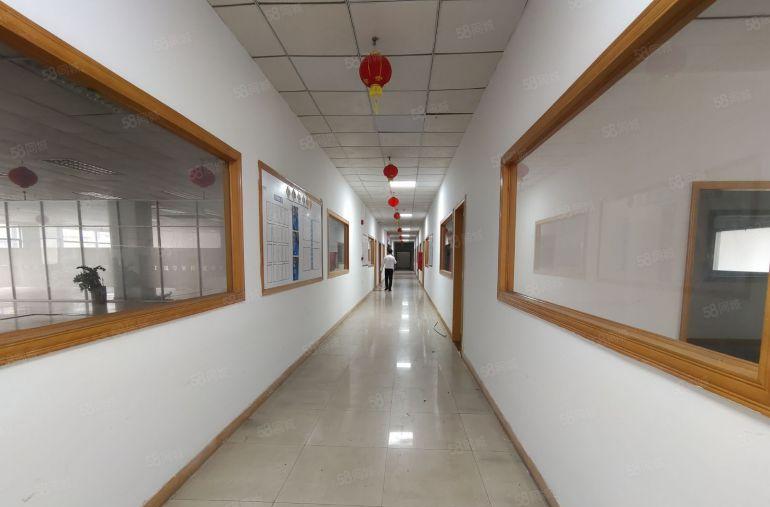 龙华大浪商业中心全新整层原房东红本精装修厂房1650出租