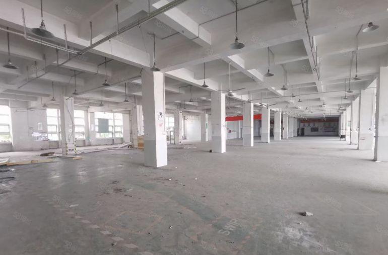 龙华区高新企业1楼2楼共16000平方厂房招租