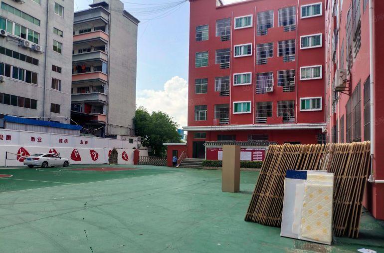 龙华大浪原房东独门独院厂房1万，厂房6000平，单层1500