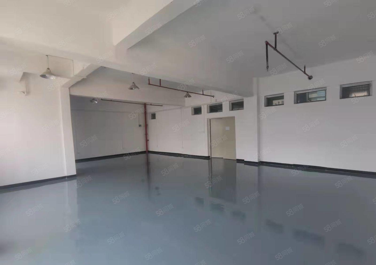 龙华清湖新出180平办公厂房出租