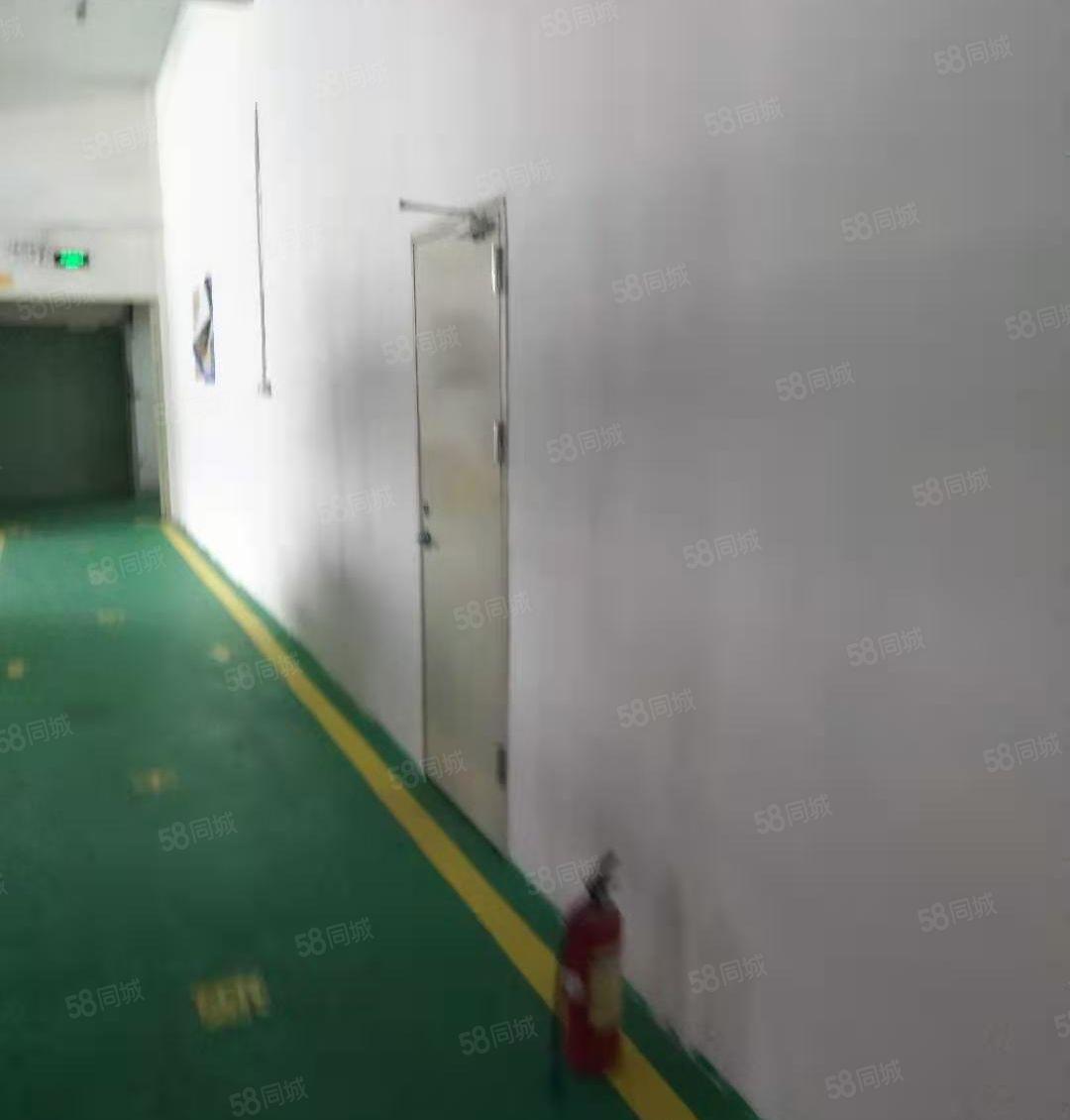 龙华厂房，仓库，交通便利，近龙胜地铁站，公交车总站，福龙路旁