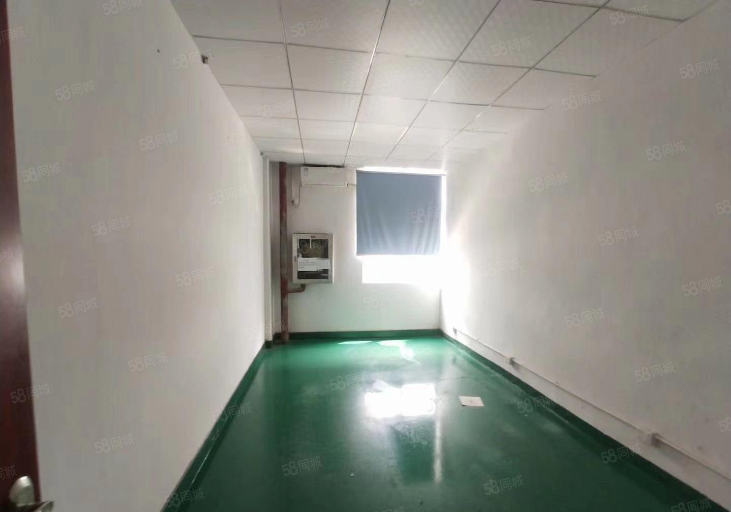 龙华汽车站旁新出楼上750平洁净车间