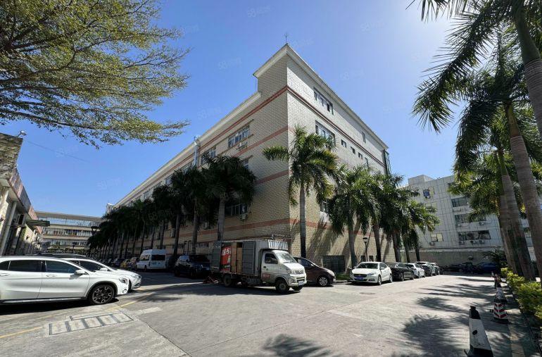 观澜原房东独门独院200平方至5000平方精装修厂房仓库分租