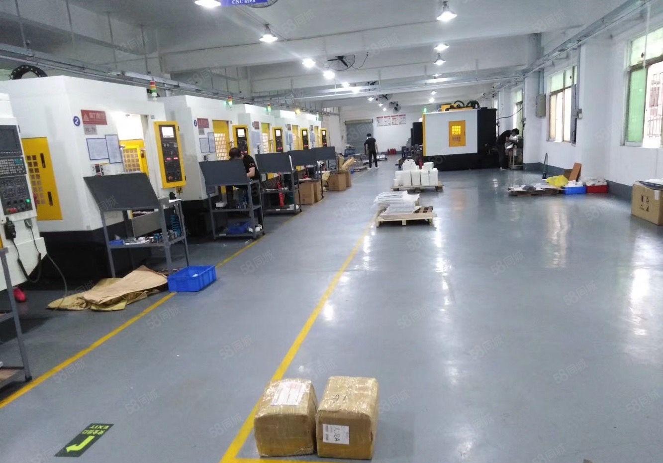 观澜大和新出原房东独门独院5000平方厂房招租