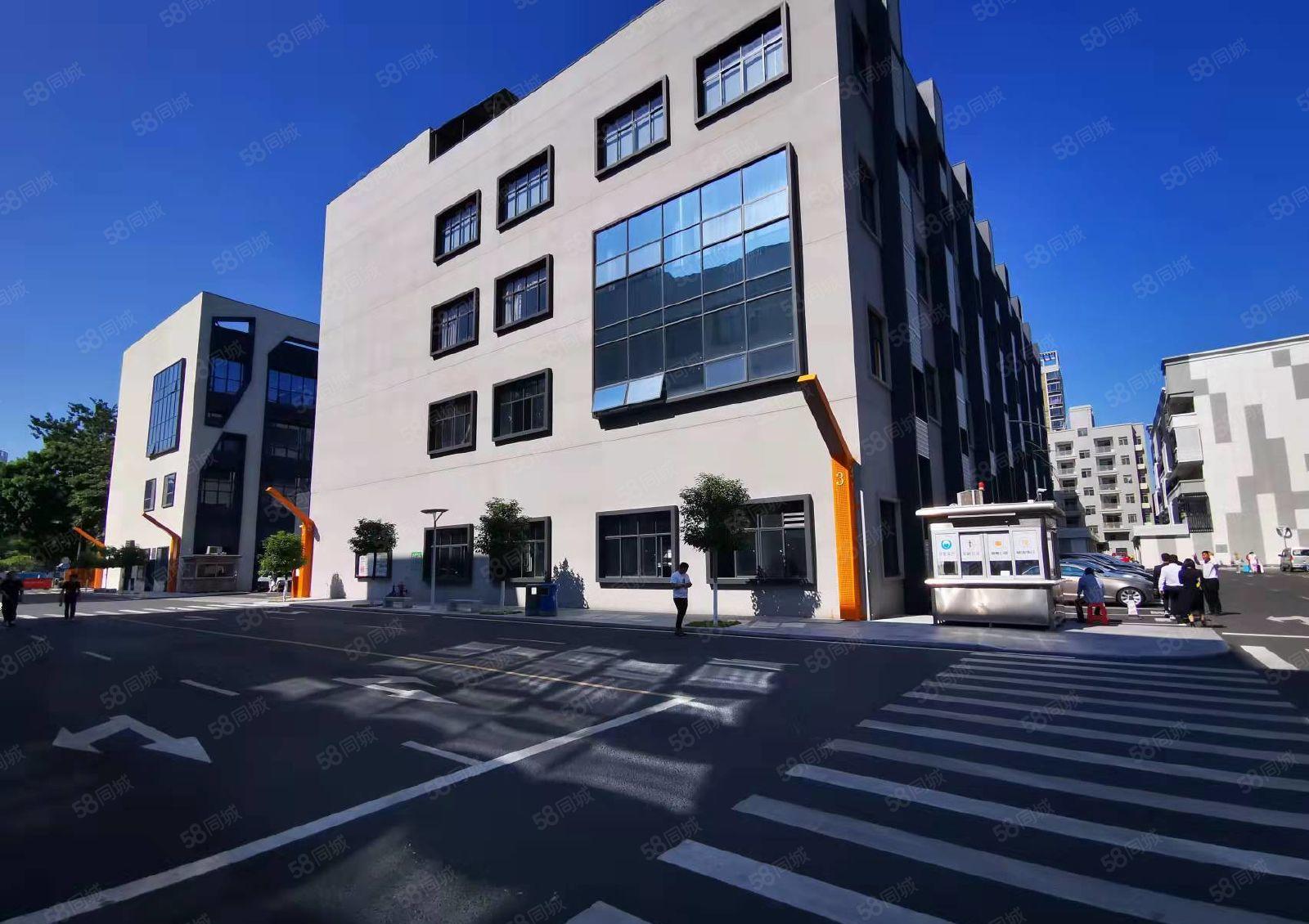 龙华油松大型电商园325平办公室仓库出租，100平起可分租