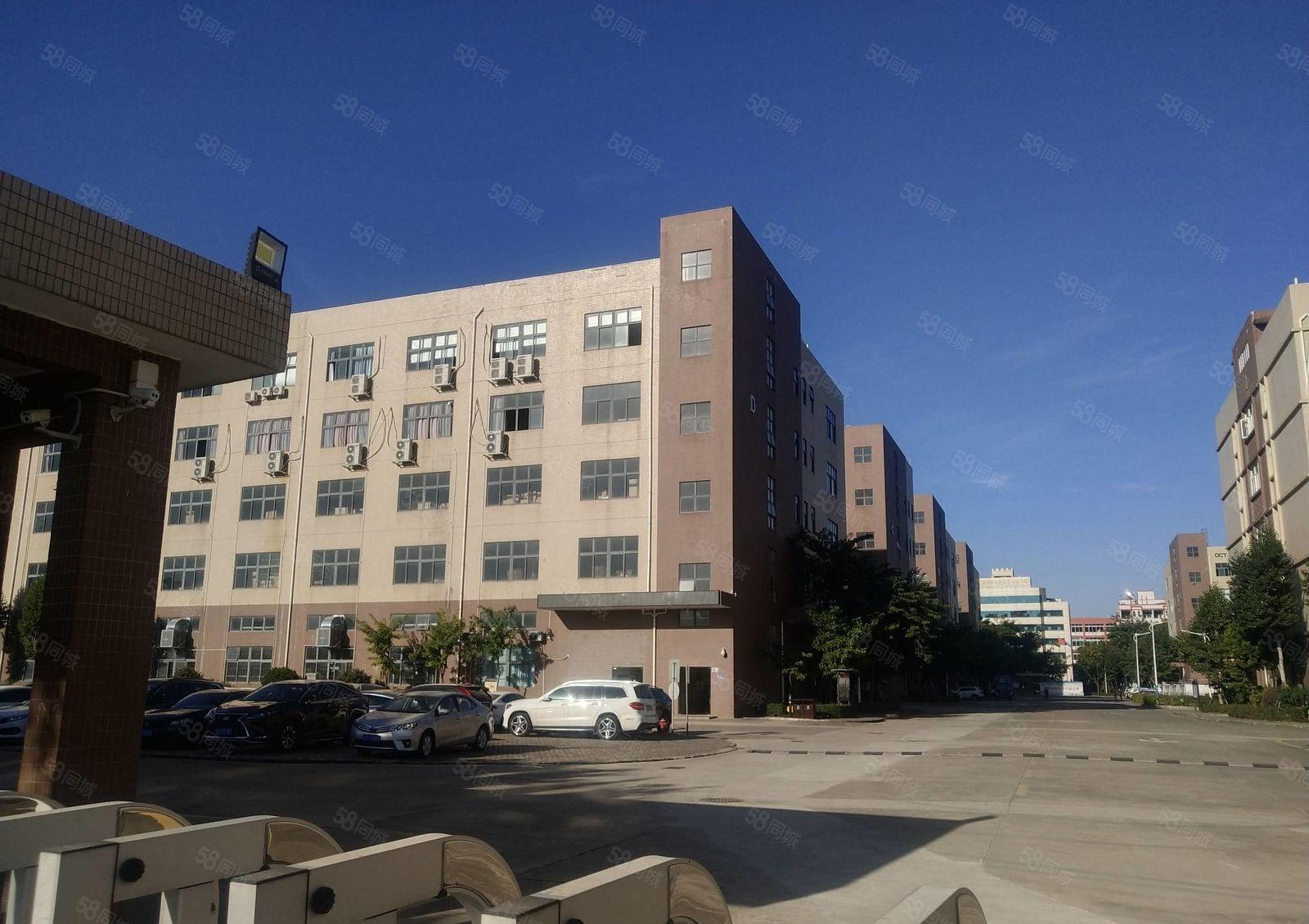 100平起分租观澜富民原房东工业园办公仓库厂房出租1000平