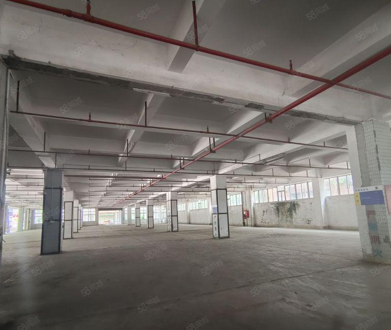 深圳石岩宝安出租原房东独门独院一楼4500平办公仓库厂房分租