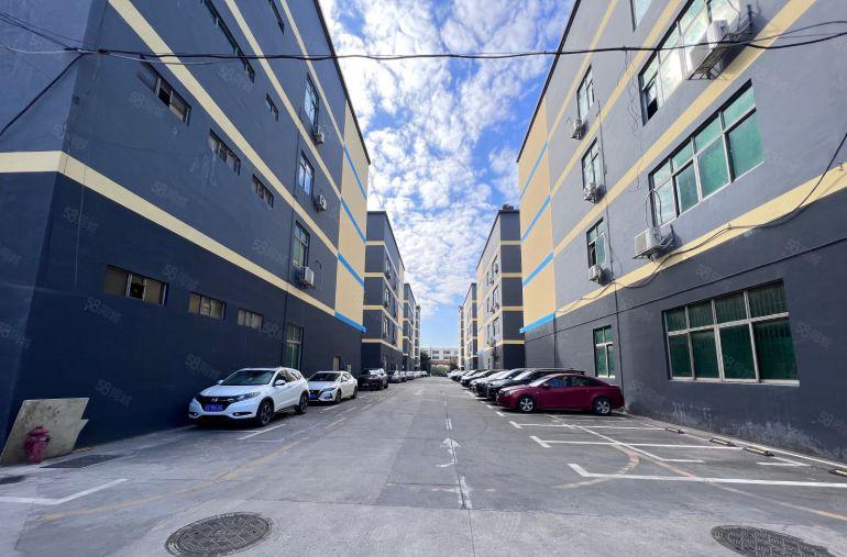 龙华大浪原房东厂房1300平精装修厂房仓库出租 300平起租