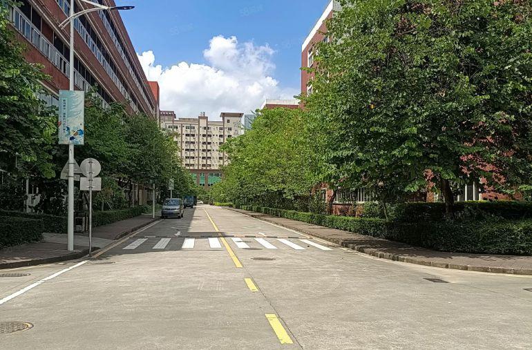 龙华大浪商业中心附近新出花园式厂房独栋2万平可分租超大空地。