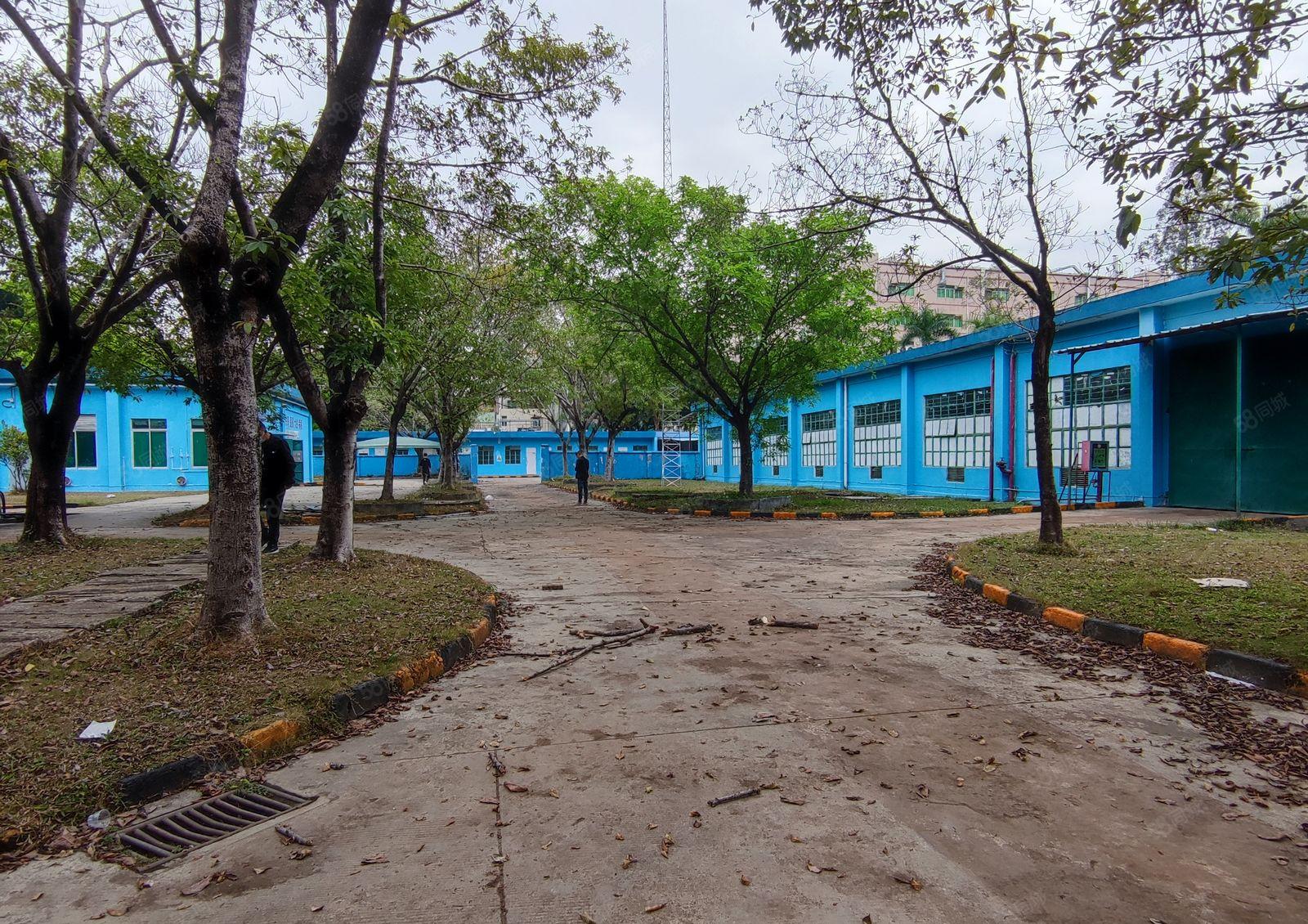 观澜竹村地铁标准一楼厂房共8000平方出租 300平米起租