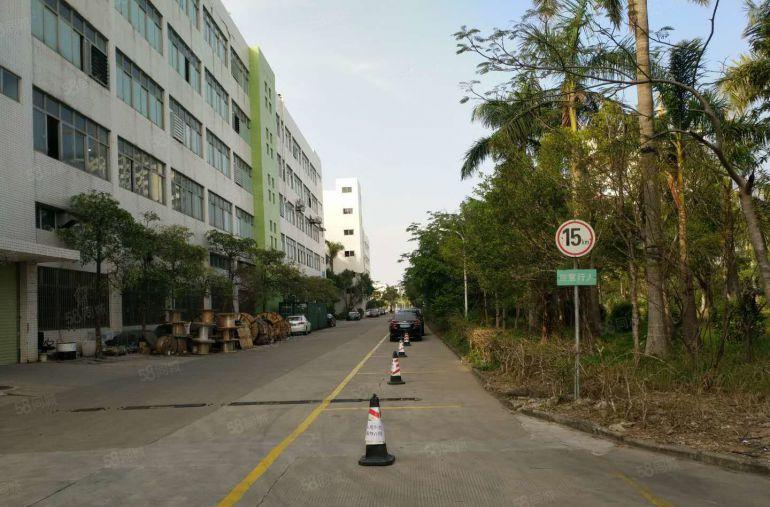 可分租观澜科技园楼上新出2000平带精装修办公室仓库厂房出租