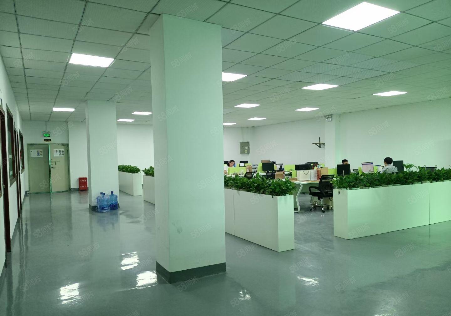 大浪特惠厂房20元每平带精装修