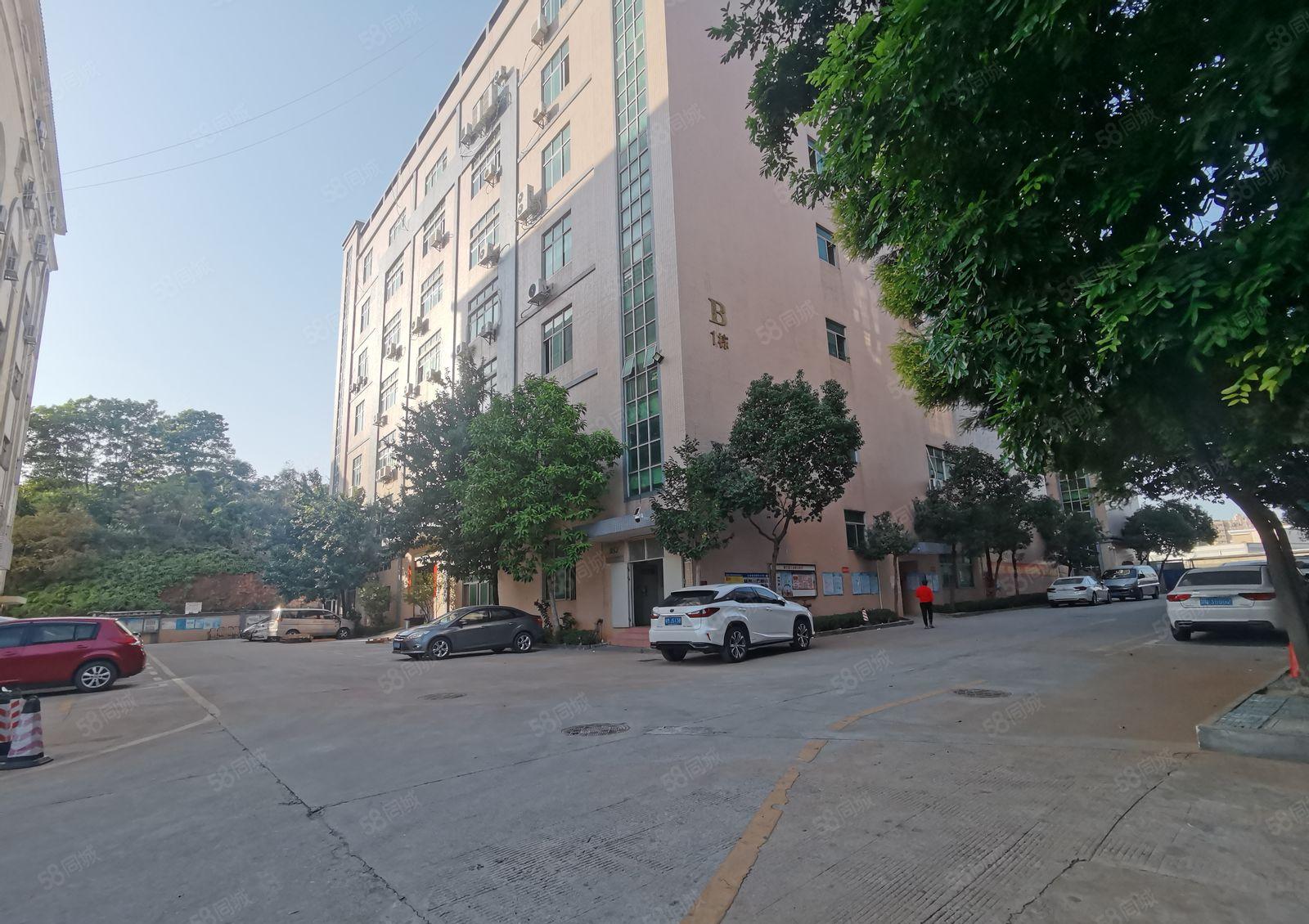 章阁主干道边原房东大型园区楼上带装修厂房出租，面积550平米