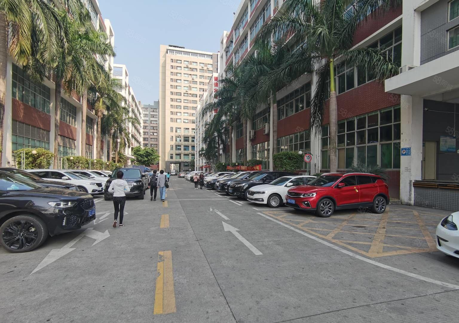 200起分小面积观澜茜坑原房东厂房出租一楼仓库出租可转租加工