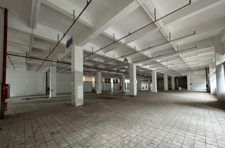 观澜原房东独院厂房出租200平起带卸货平台电商仓库分租