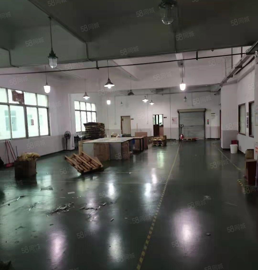 龙华汽车站旁新出标准厂房楼上1400平招租，精装修水电齐全