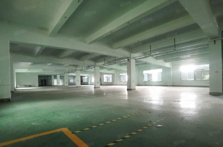 龙华清湖地铁整层2千平可分租2百起精装独院 一楼厂房仓库出租