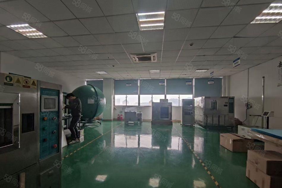 大浪1600平26元无公摊房东直租