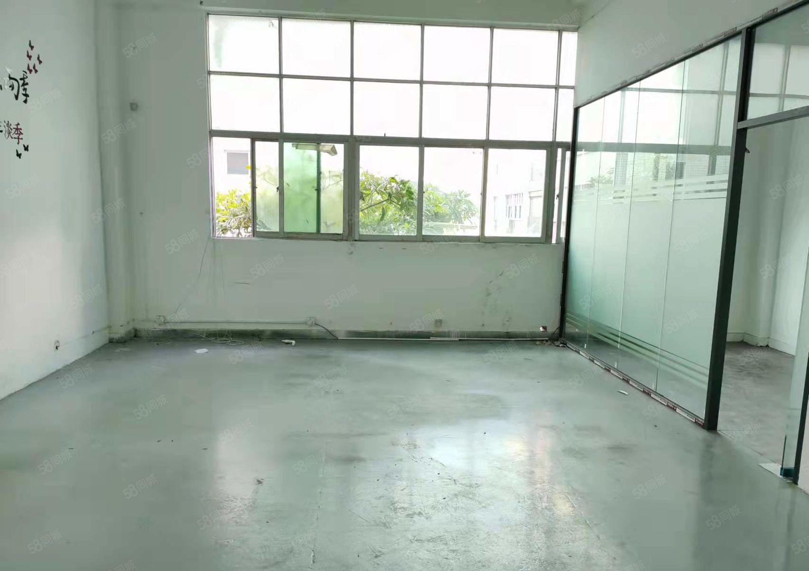 龙华大浪商业中心附近230平精装写字楼厂房出租