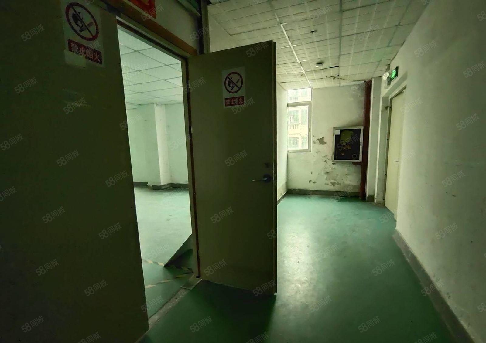 龙华油松天汇大厦旁楼上600平厂房出租，水电齐全