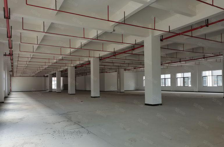 龙华大浪原房东独栋6000平厂房出租仓库出租可分租可独门独院