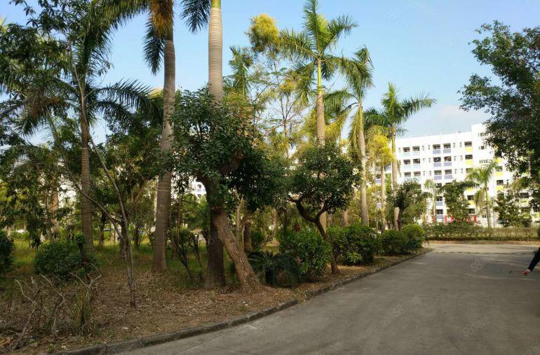 可分租观澜科技园楼上新出2000平带精装修办公室仓库厂房出租