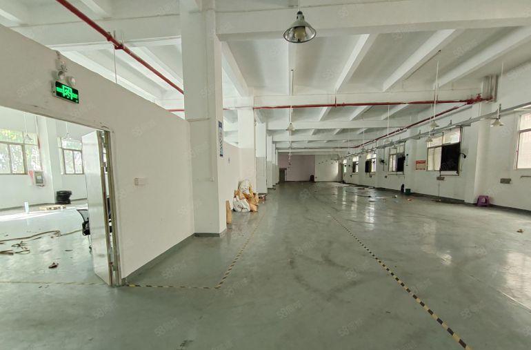 龙华大浪原房东红本厂房出租两层共3000平方龙华独门独院