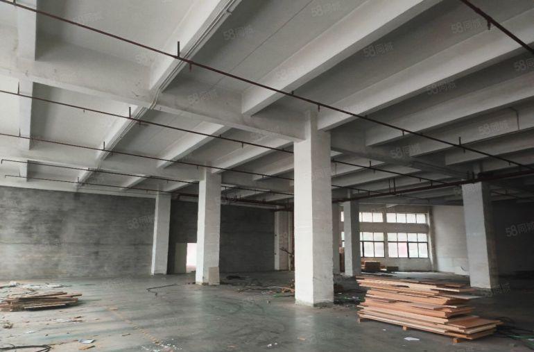 原房东红本厂房1楼1500平直租价格优惠