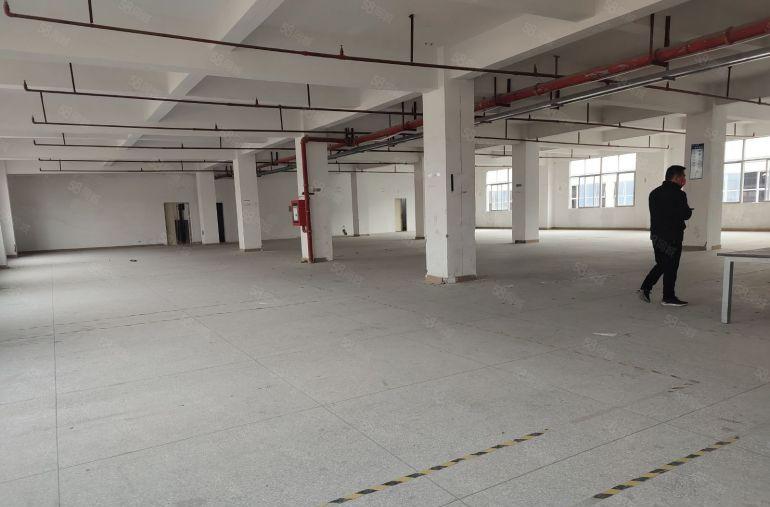 临深圳塘厦科苑城高新科技园原房厂房低价出租30000平可分租