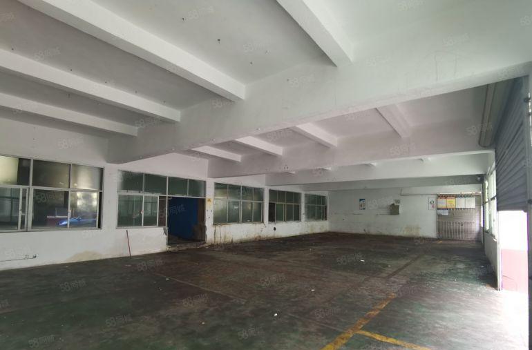 观澜地铁口50米开发商230平一楼标准厂房低价出租